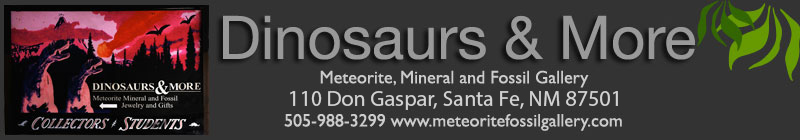 santa fe plaza fossils meteorites at Dinosaurs and more Charlie rock hound